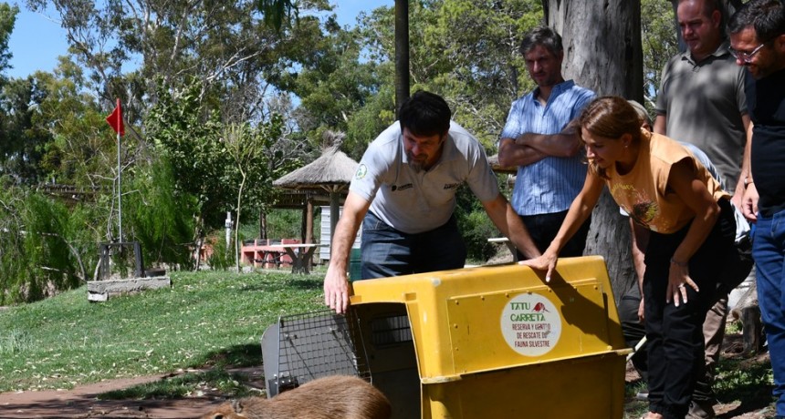 Se liberaron más de 20 ejemplares silvestres en Marull y La Para