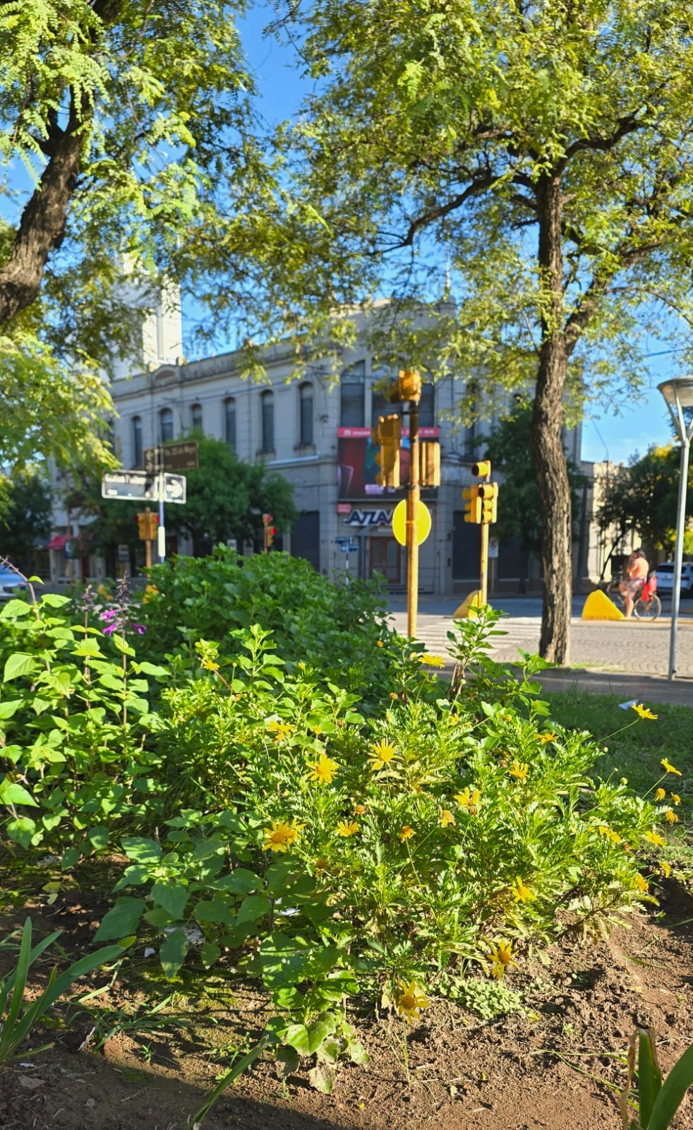 Crimen de Zamir en Frontera