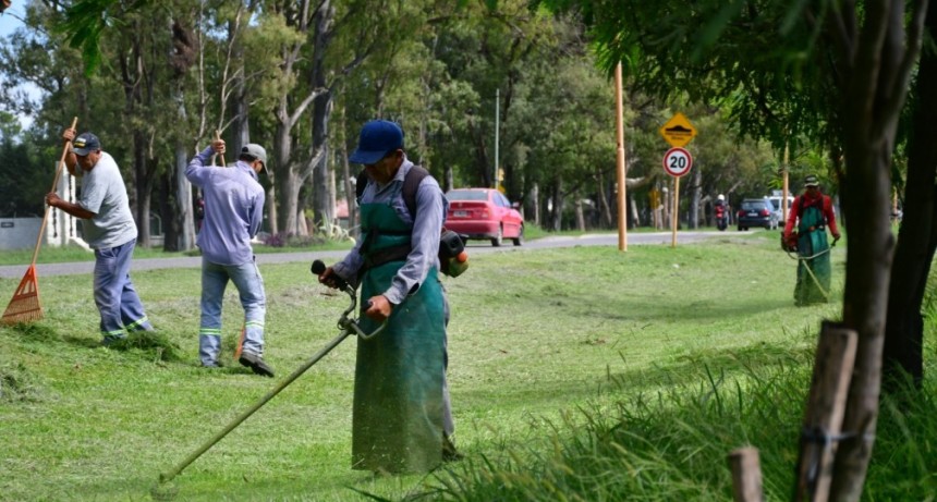 Contin&uacute;an los trabajos en el &aacute;rea de Servicios P&uacute;blicos