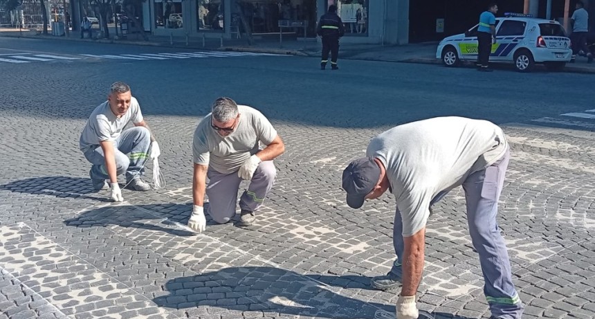 Sigue la demarcaci&oacute;n de sendas peatonales y el reciclado de carteles nomencladores