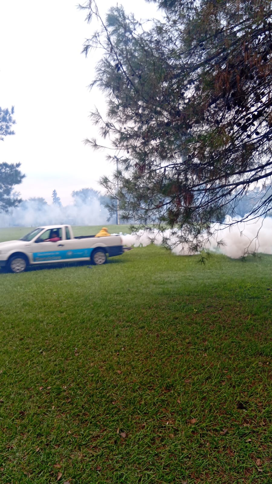 El municipio contin&uacute;a con el Programa de Fumigaci&oacute;n.