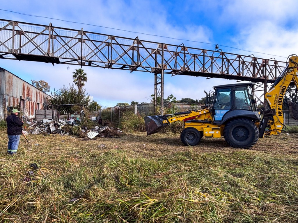Avanzan los trabajos de limpieza y mantenimiento en el predio del Ferrocarril Belgrano.