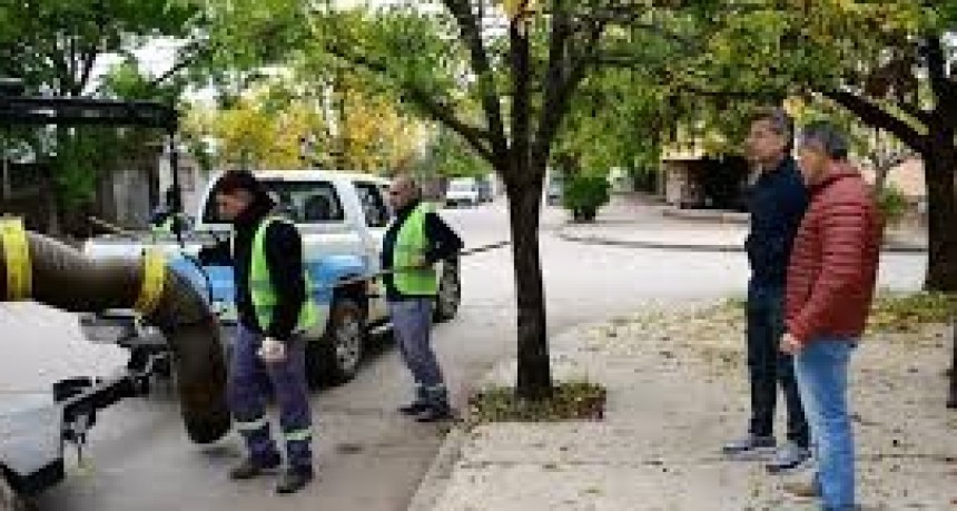 El municipio contin&uacute;a trabajando en la campa&ntilde;a de recolecci&oacute;n de hojas.