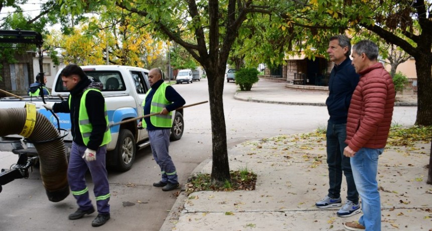 El municipio contin&uacute;a trabajando en la campa&ntilde;a de recolecci&oacute;n de hojas.