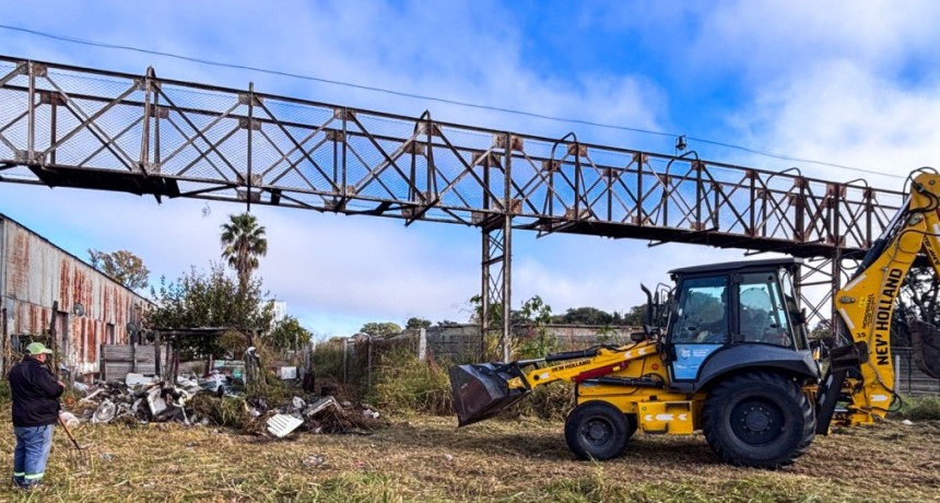 Avanzan los trabajos de limpieza y mantenimiento en el predio del Ferrocarril Belgrano.