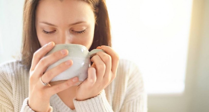 Cuál es el té que ayuda a eliminar bacterias y virus de la boca