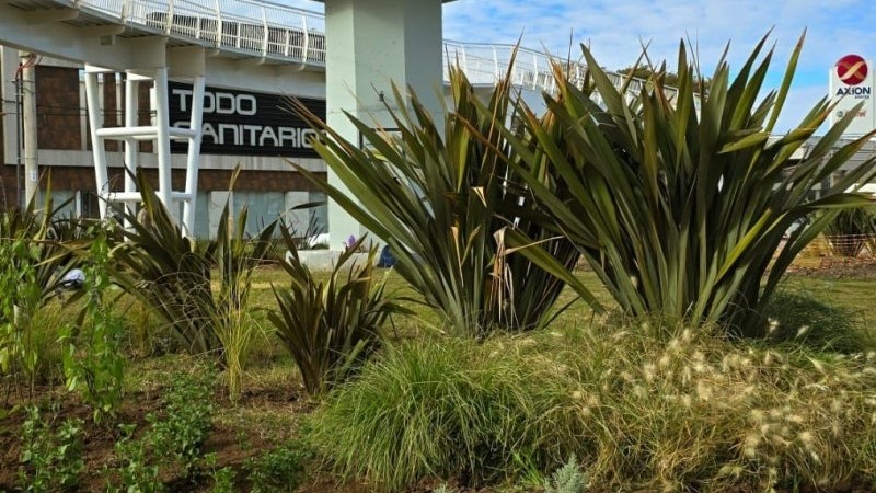 La naturaleza acompa&ntilde;a la renovaci&oacute;n del bulevar 9 de Julio.