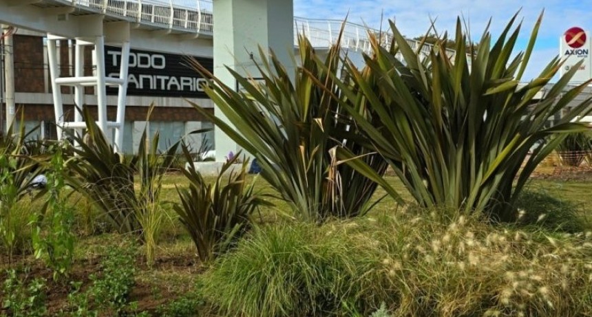 La naturaleza acompa&ntilde;a la renovaci&oacute;n del bulevar 9 de Julio.