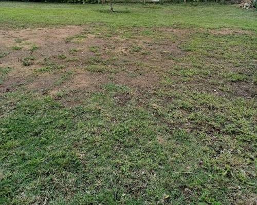 El Municipio avanza firmemente con la regularizaci&oacute;n dominial del ex &ldquo;Loteo Pignata&rdquo;.