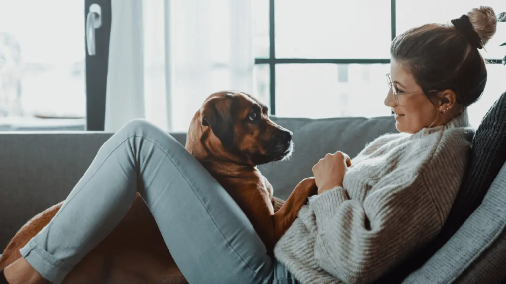 Qu&eacute; significa crear v&iacute;nculo con un perro y por qu&eacute; no siempre aparece de inmediato.