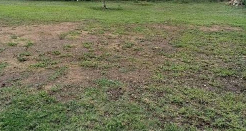 El Municipio avanza firmemente con la regularizaci&oacute;n dominial del ex &ldquo;Loteo Pignata&rdquo;.