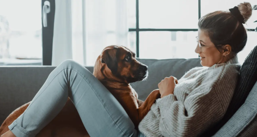 Qu&eacute; significa crear v&iacute;nculo con un perro y por qu&eacute; no siempre aparece de inmediato.
