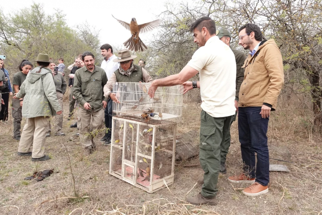 Reintroducen aves nativas en la Reserva Natural de la Defensa de Ascochinga