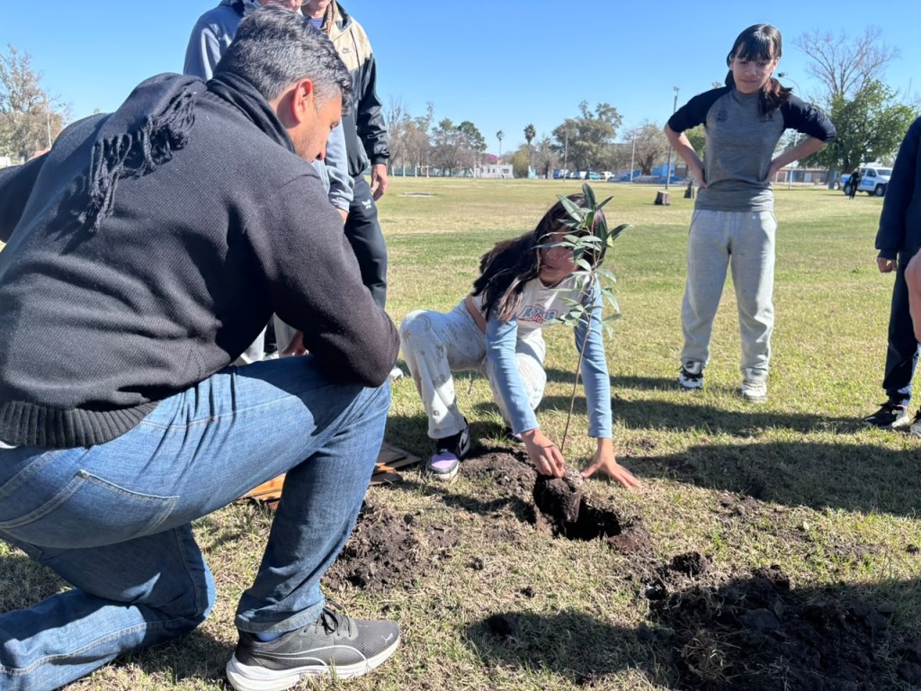 Se plantaron 50 ejemplares nuevos en el Polideportivo Municipal.