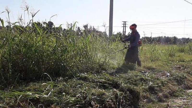 El municipio refuerza el cumplimiento de la normativa sobre mantenimiento de lotes y veredas.
