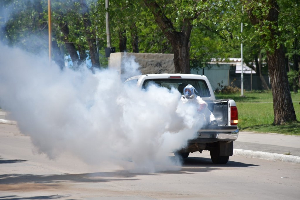 Prevención del dengue: se realizaron bloqueos masivos ante la detección de larvas del mosquito transmisor