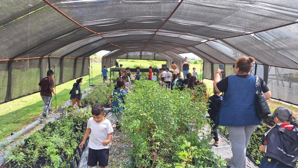 Educación ambiental: alumnos del Jardín de Infantes H. Bouchard visitaron el Vivero Municipal y aprendieron sobre el cuidado del ambiente
