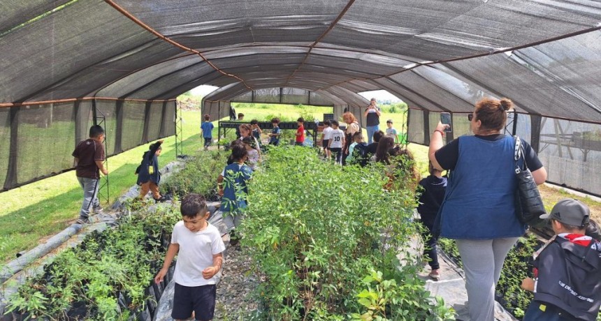 Educación ambiental: alumnos del Jardín de Infantes H. Bouchard visitaron el Vivero Municipal y aprendieron sobre el cuidado del ambiente