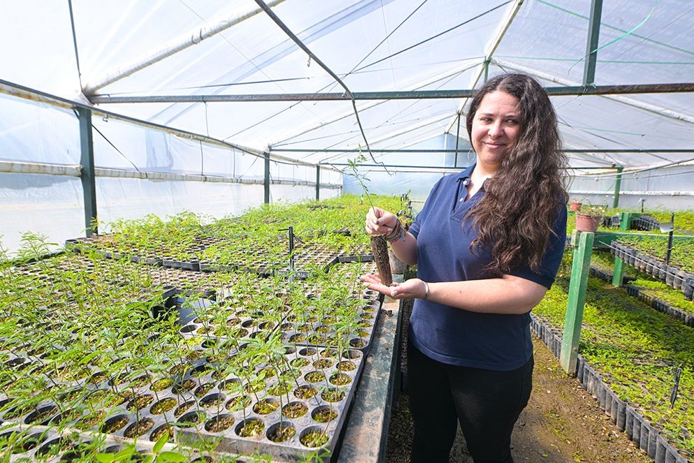 Gen Nativo: Cómo funciona el “multiplicador” de árboles para forestar campos cordobeses